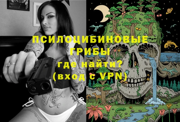 ешки Верея