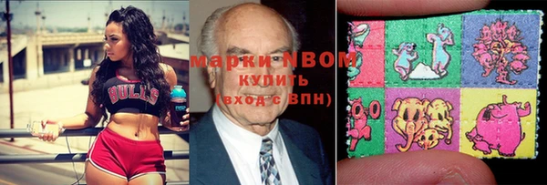 2c-b Бородино