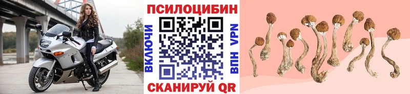 Псилоцибиновые грибы мухоморы  Улан-Удэ 
